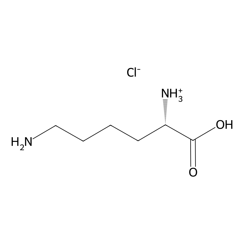 L-Lysine hydrochloride