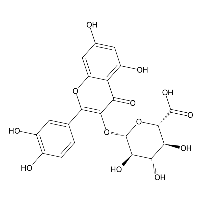 quercetin 3-O-glucuronide