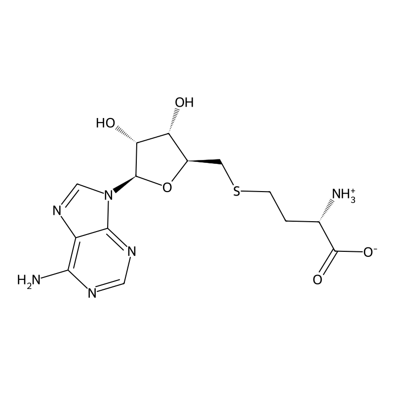 S-adenosyl-L-homocysteine