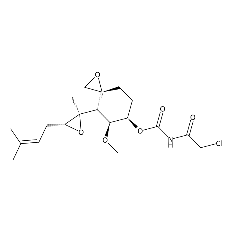 O-(chloroacetylcarbamoyl)fumagillol