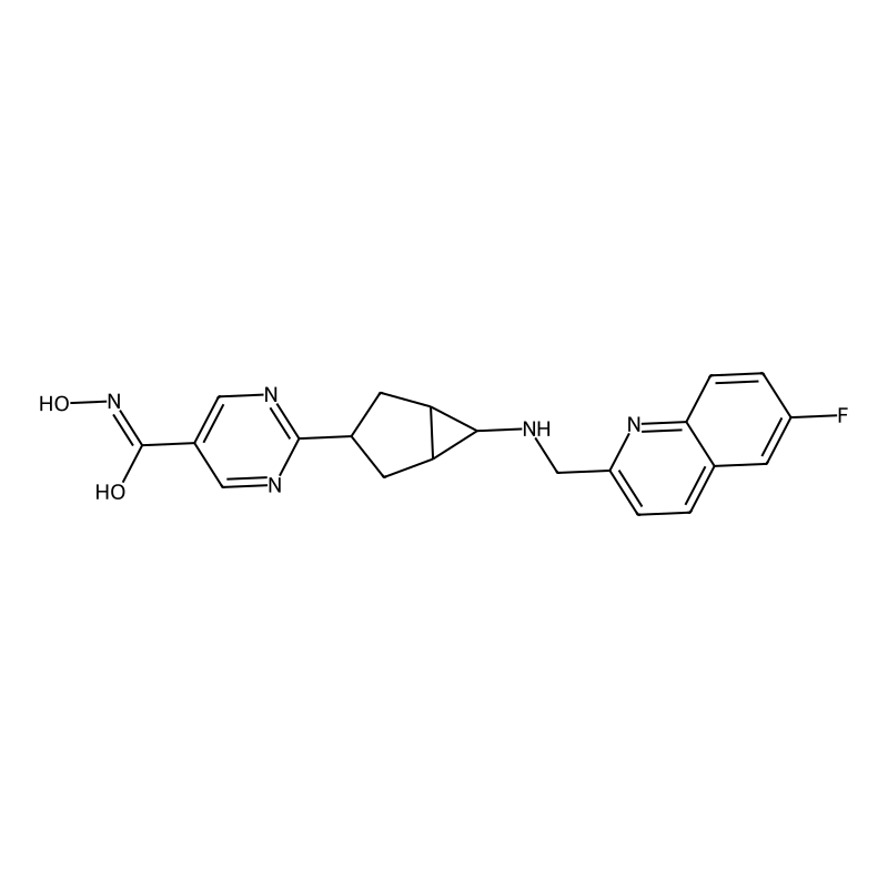 2-[6-[(6-fluoroquinolin-2-yl)methylamino]-3-bicyclo[3.1.0]hexanyl]-N-hydroxypyrimidine-5-carboxamide