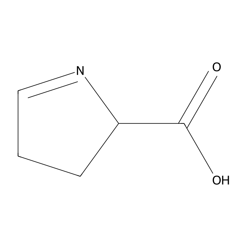 3,4-dihydro-2H-pyrrole-2-carboxylic acid