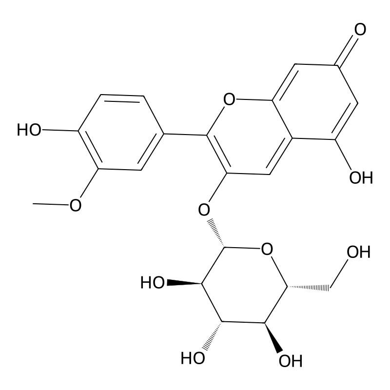 peonidin 3-O-beta-D-glucoside betaine