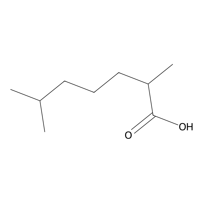 2,6-Dimethylheptanoic acid