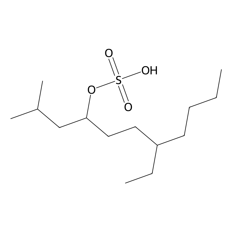 Tetradecyl hydrogen sulfate (ester)