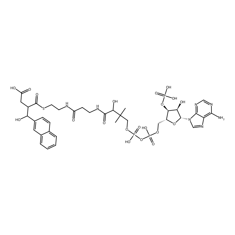 Naphthyl-2-hydroxymethyl-succinyl CoA
