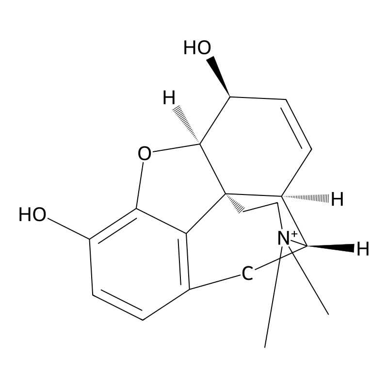 N-Methylmorphine