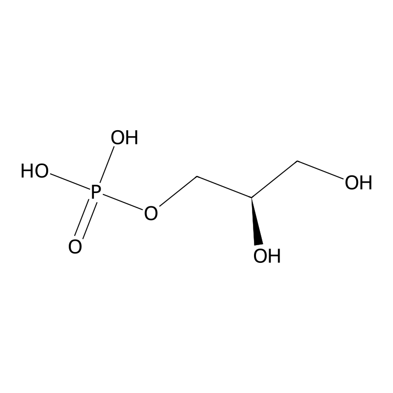 sn-Glycerol 3-phosphate