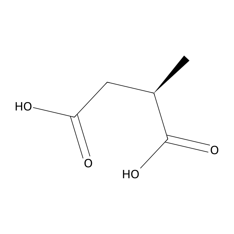 (R)-(+)-Methylsuccinic acid