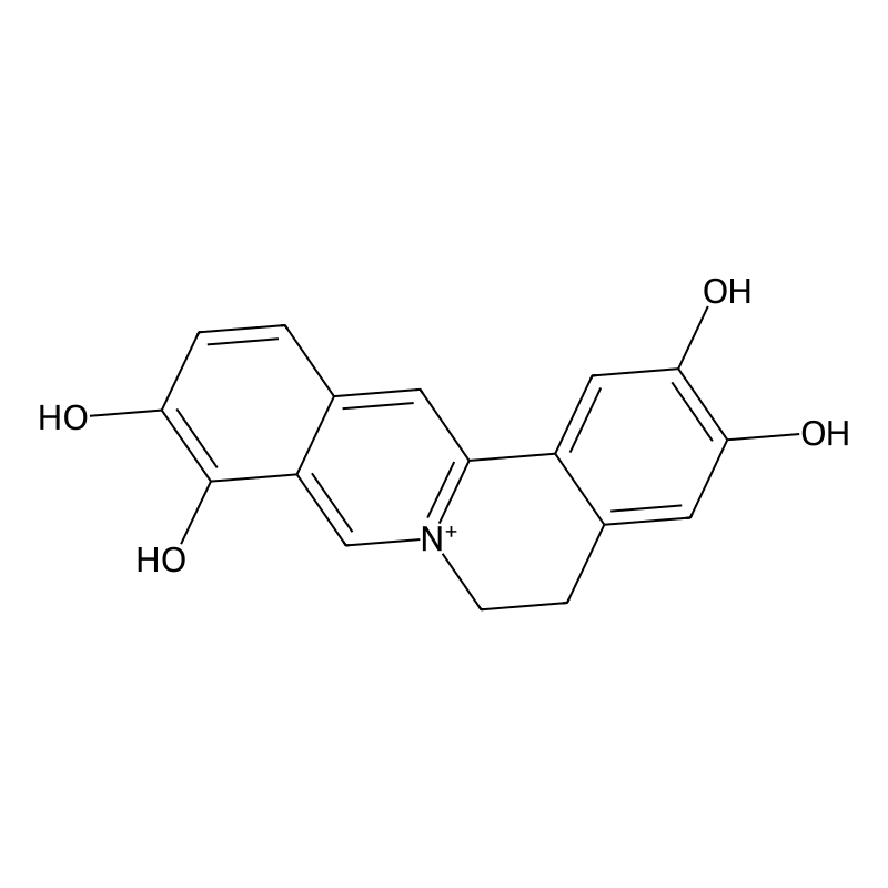 2,3,9,10-Tetrahydroxyberberine