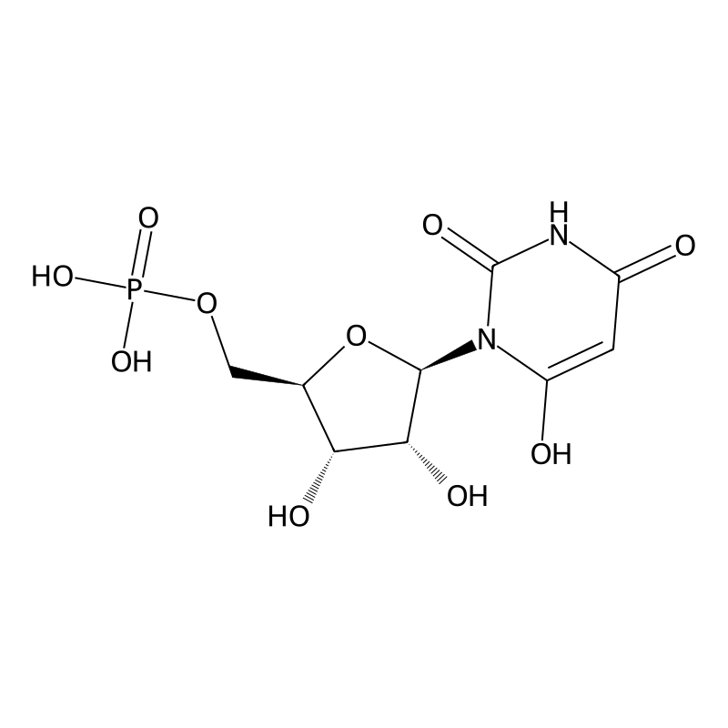 6-Hydroxyuridine-5'-phosphate