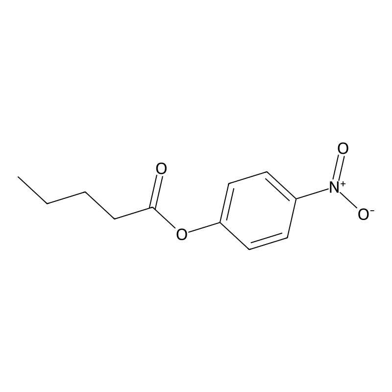 4-Nitrophenyl valerate