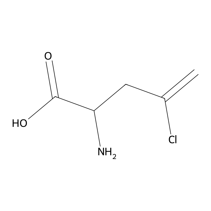 2-Amino-4-chloro-4-pentenoic acid