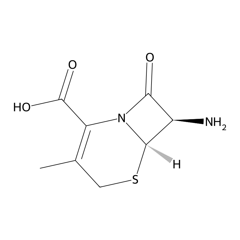 7-Aminodesacetoxycephalosporanic acid