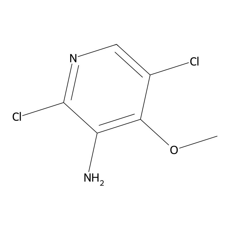 2,5-dichloro-4-methoxypyridin-3-amine