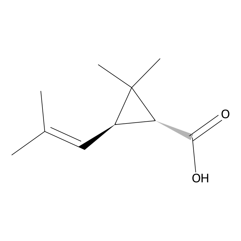 (+)-trans-Chrysanthemic acid