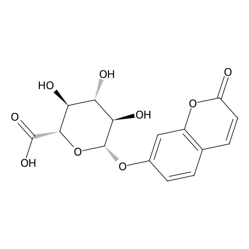 7-Hydroxycoumarin glucuronide