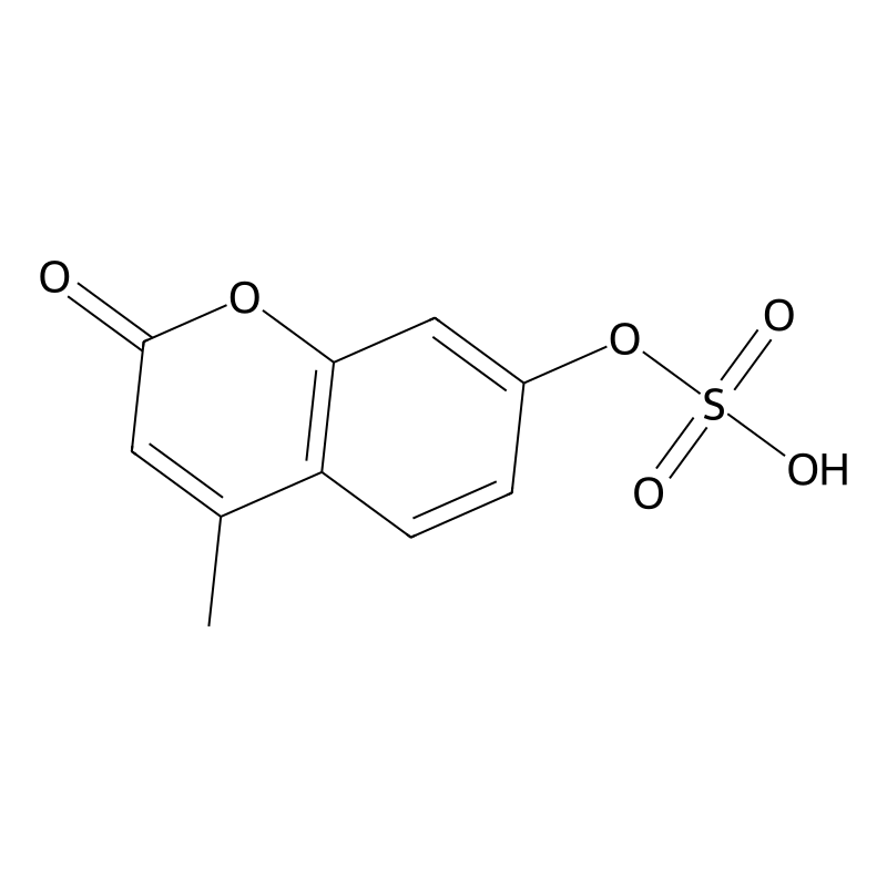 4-Methylumbelliferone sulfate