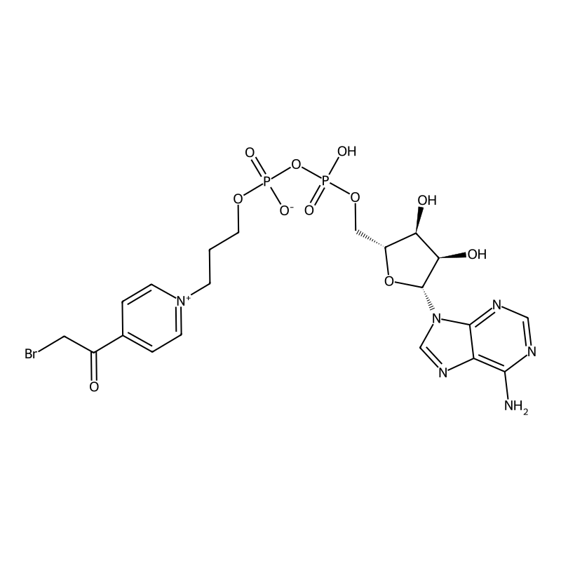 (3-(4-Bromoacetylpyridinio)propyl)adenosine pyroph...
