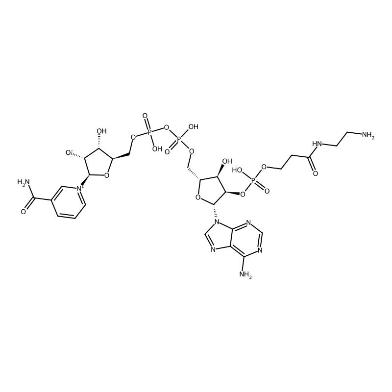 Aecep-NAD