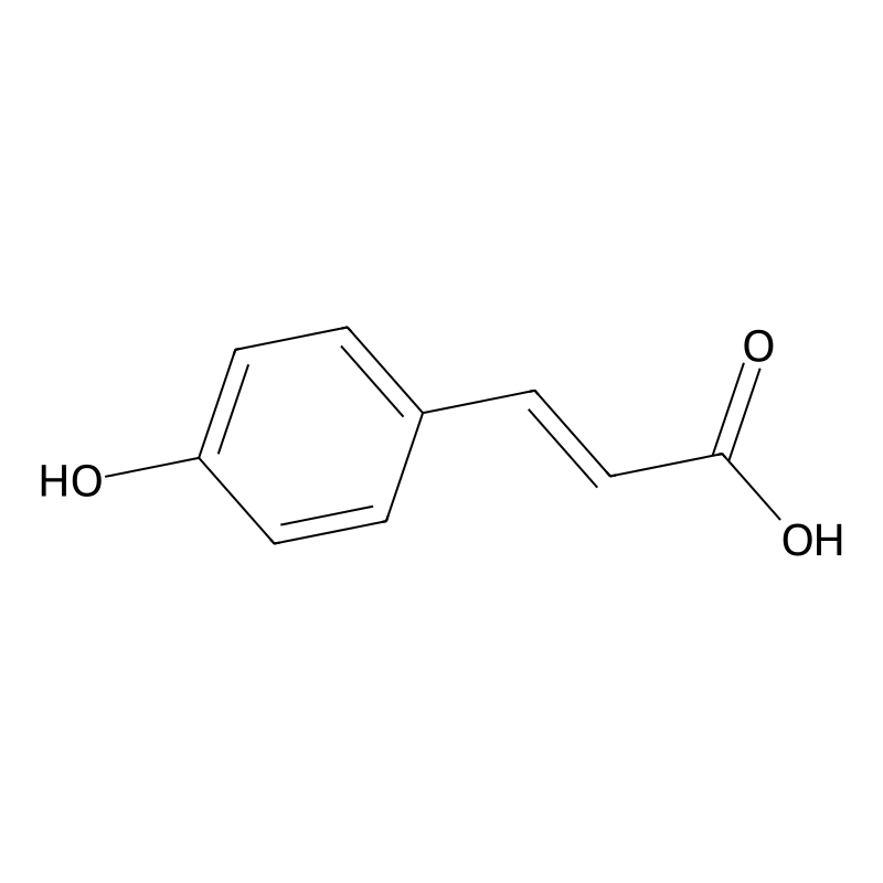 p-Coumaric acid
