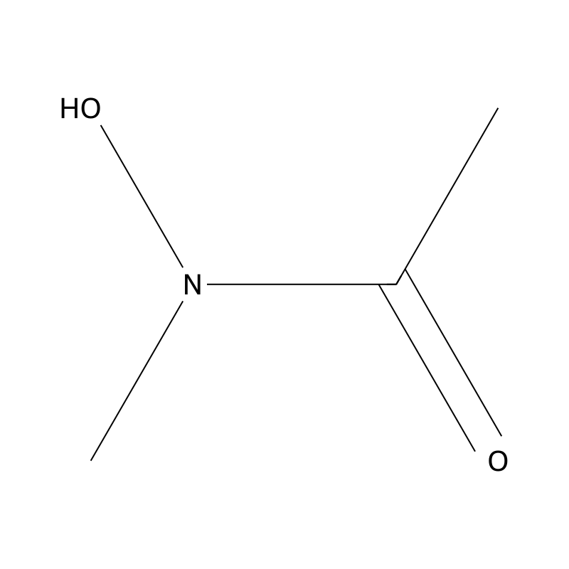 N-Hydroxy-N-methylacetamide