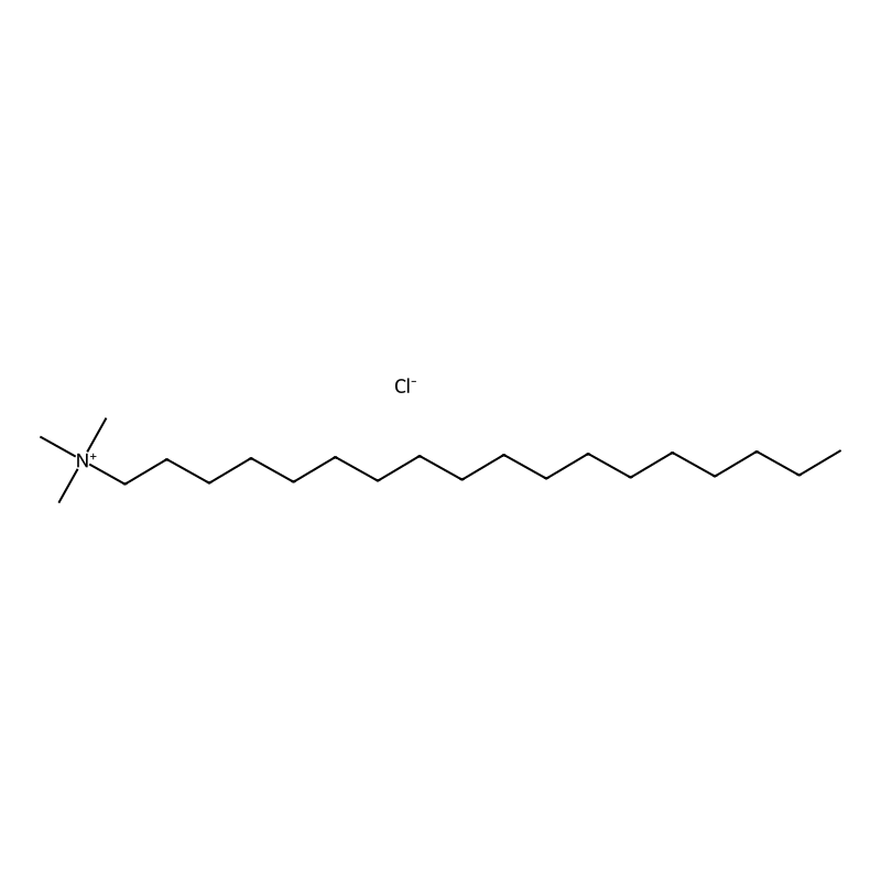 1-Octadecanaminium, N,N,N-trimethyl-, chloride