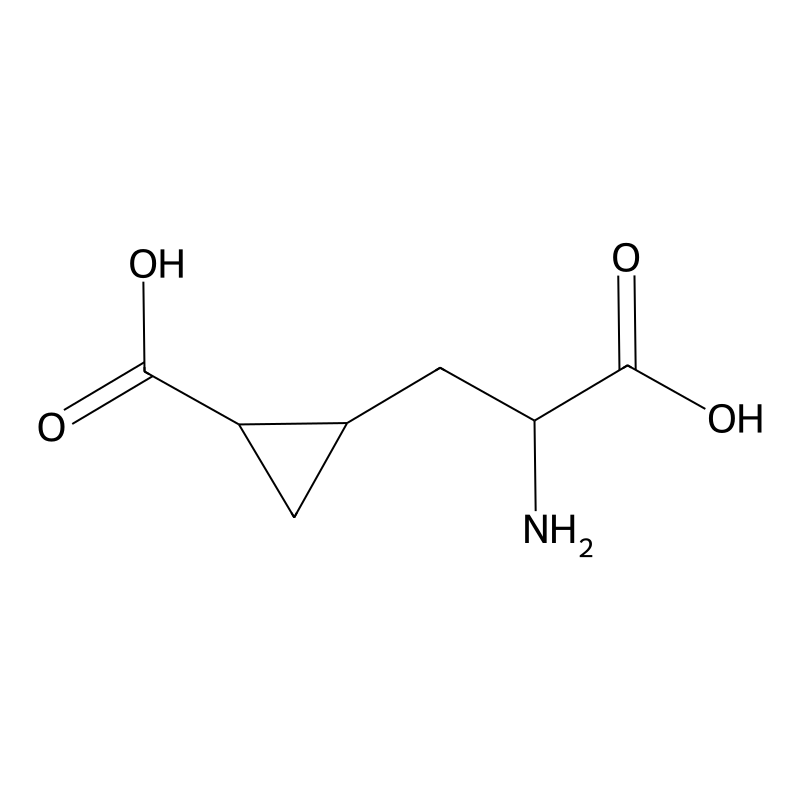 2-Amino-4,5-methanoadipate