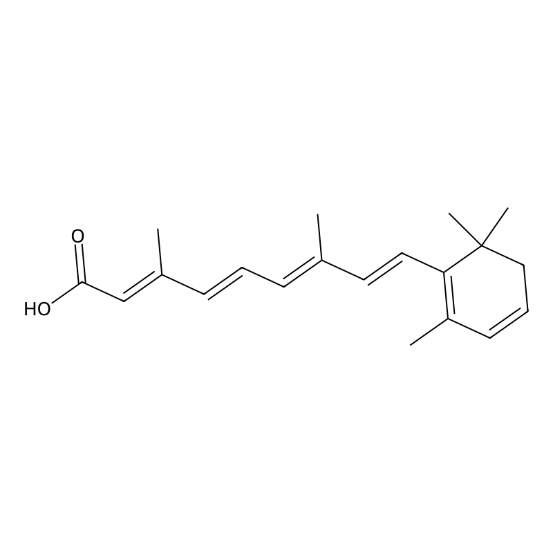 3,4-Didehydroretinoic acid