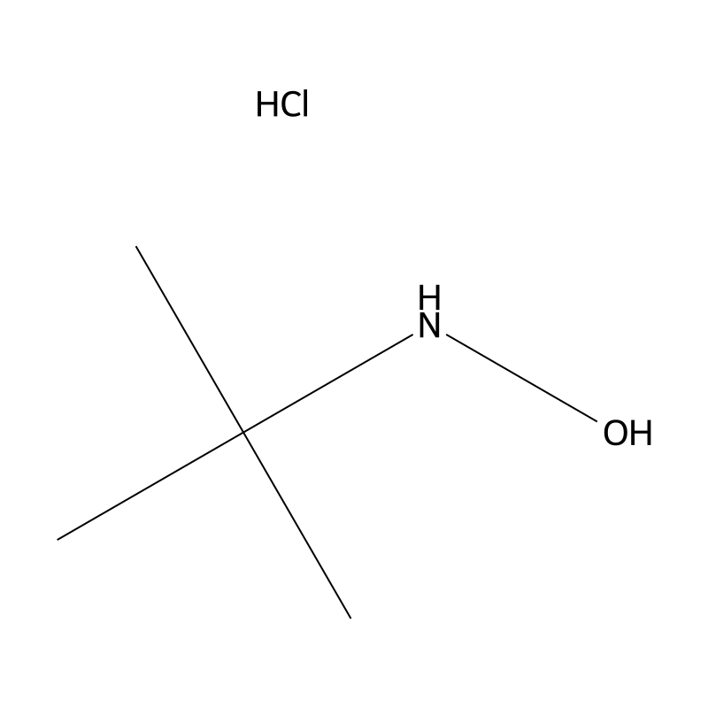 N-(tert-Butyl)hydroxylamine hydrochloride