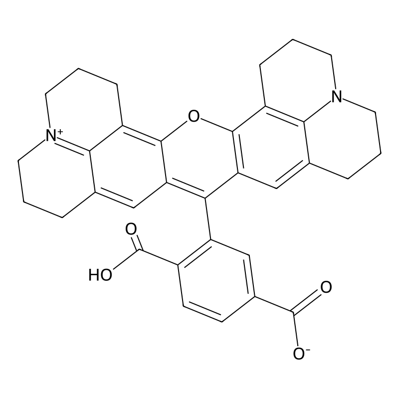 6-Carboxy-X-rhodamine