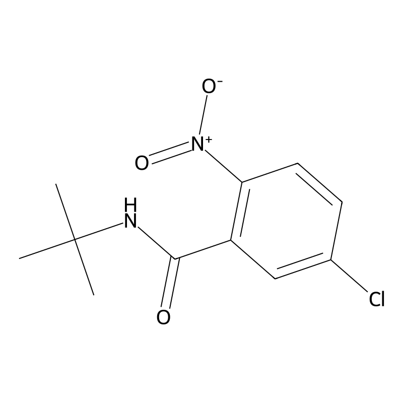 N-tert-butyl-5-chloro-2-nitrobenzamide