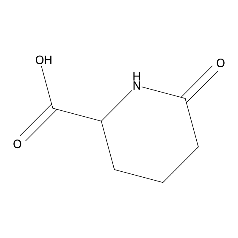 6-Oxo-piperidine-2-carboxylic acid