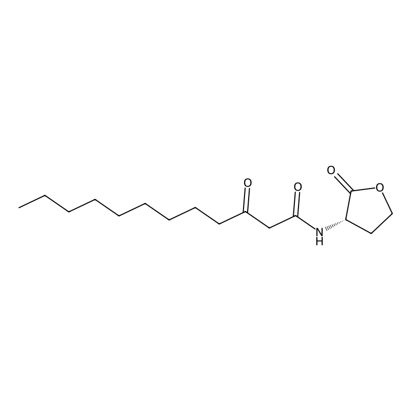 N-3-Oxo-Dodecanoyl-L-Homoserine Lactone