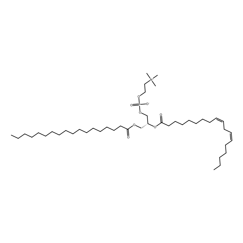 1-Stearoyl-2-linoleoyl-sn-glycero-3-phosphatidylch...