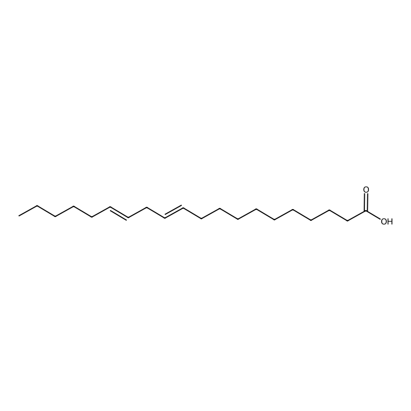 11,14-Eicosadienoic acid