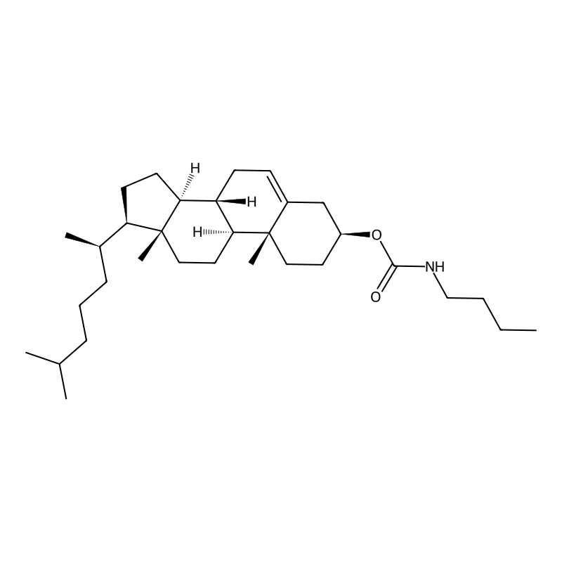 3-Cholesteryl N-butylcarbamate