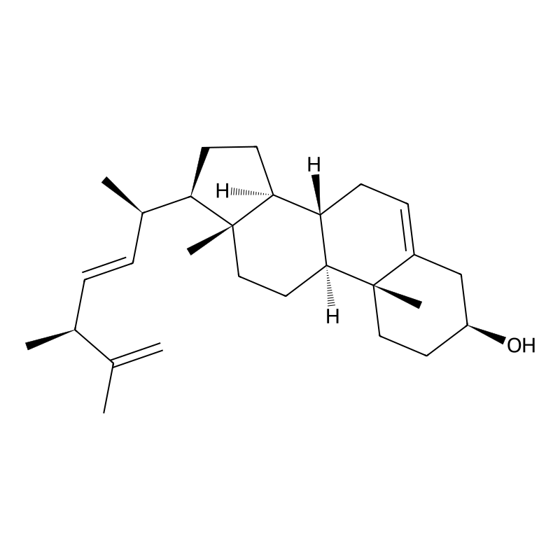 22-EG-Tbo