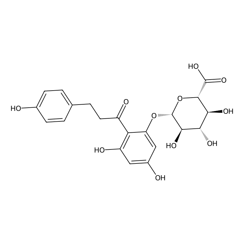 Phloretin 2'-O-glucuronide