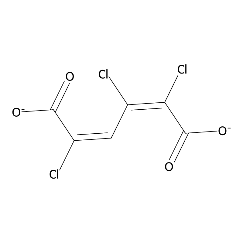 2,3,5-Trichloro-cis,cis-muconate