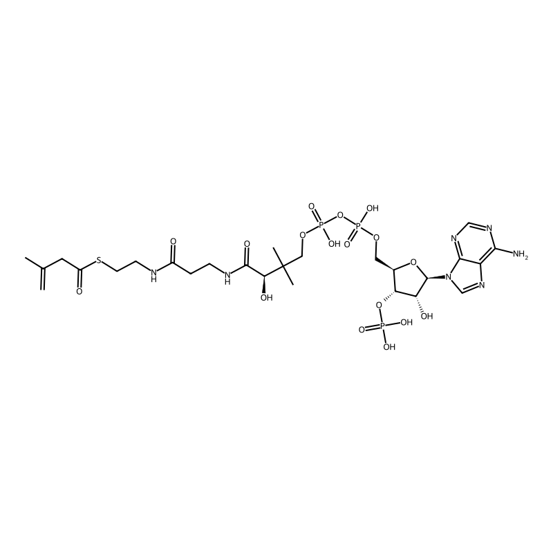 3-methylbut-3-enoyl-CoA