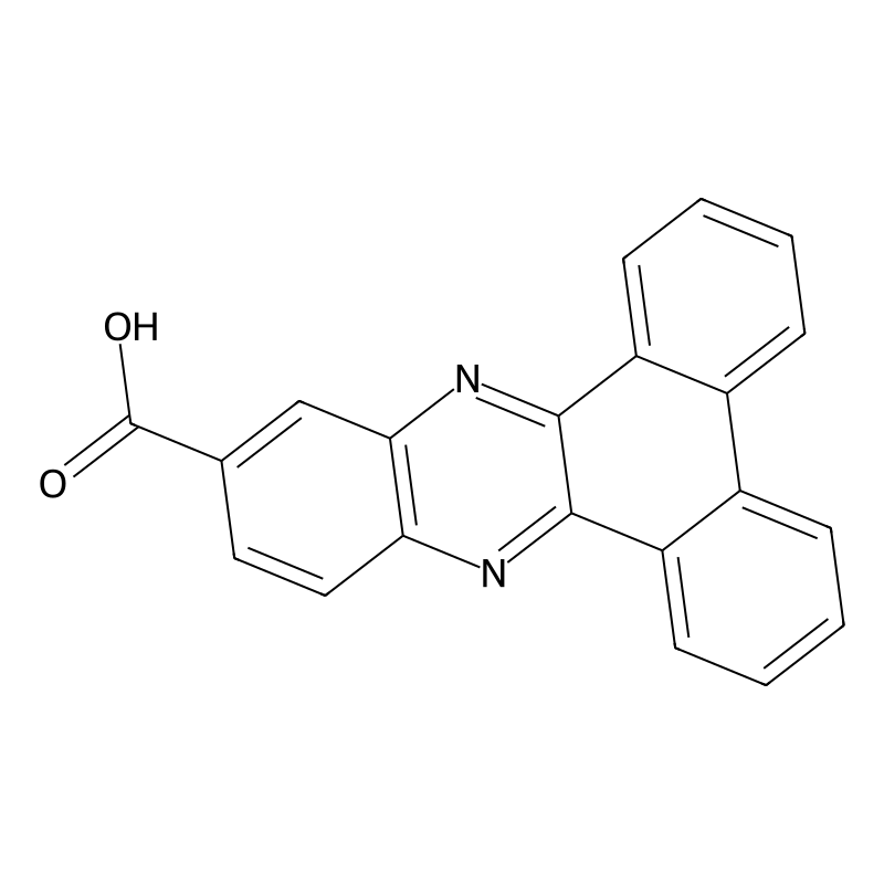 dibenzo[a,c]phenazine-11-carboxylic acid
