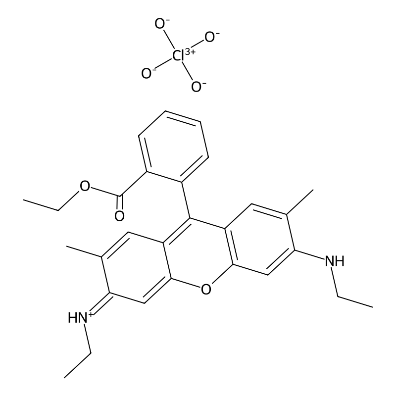 Xanthylium, 9-[2-(ethoxycarbonyl)phenyl]-3,6-bis(e...