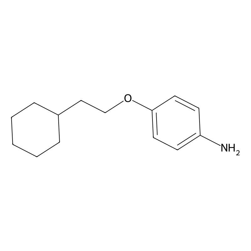 4-(2-Cyclohexylethoxy)aniline