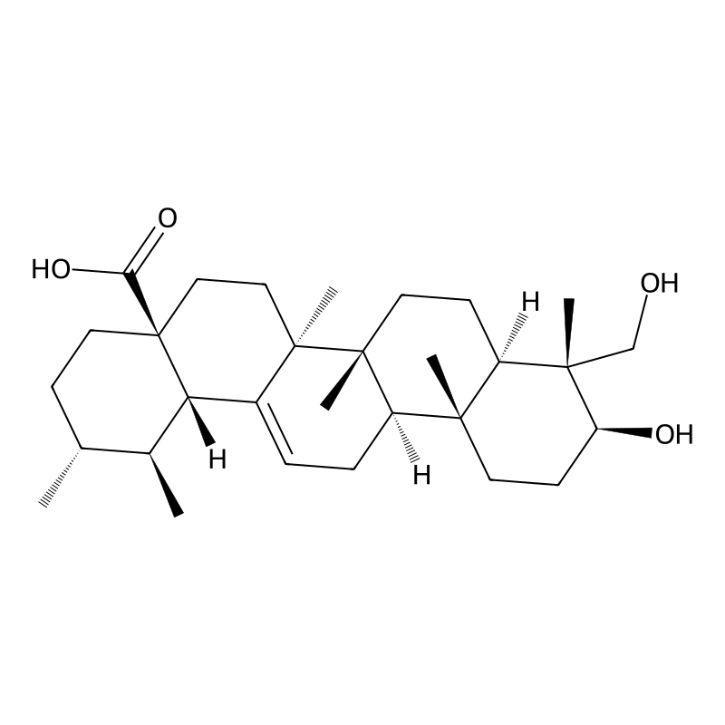 23-Hydroxyursolic Acid