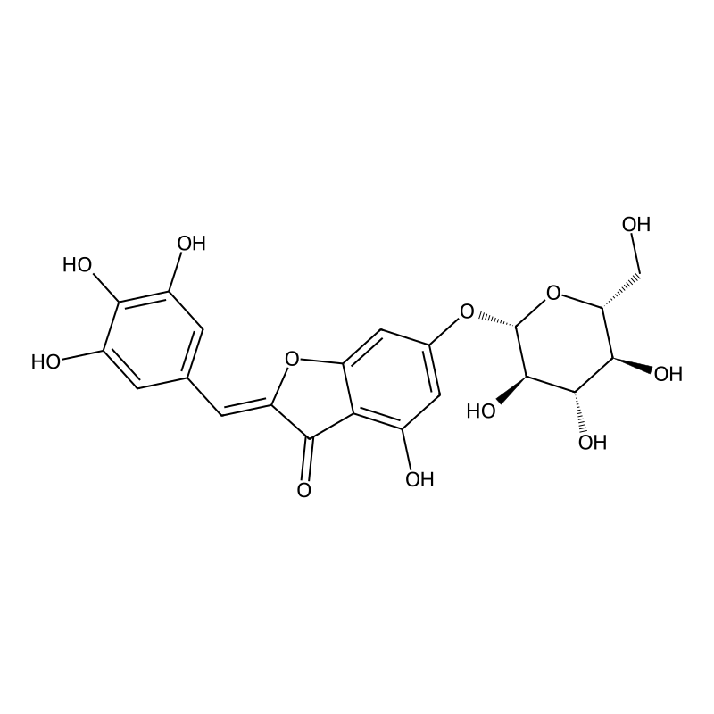 bracteatin 6-O-beta-glucoside