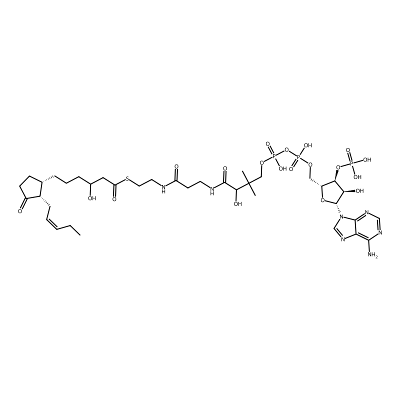 3-Hydroxy-OPC6-CoA