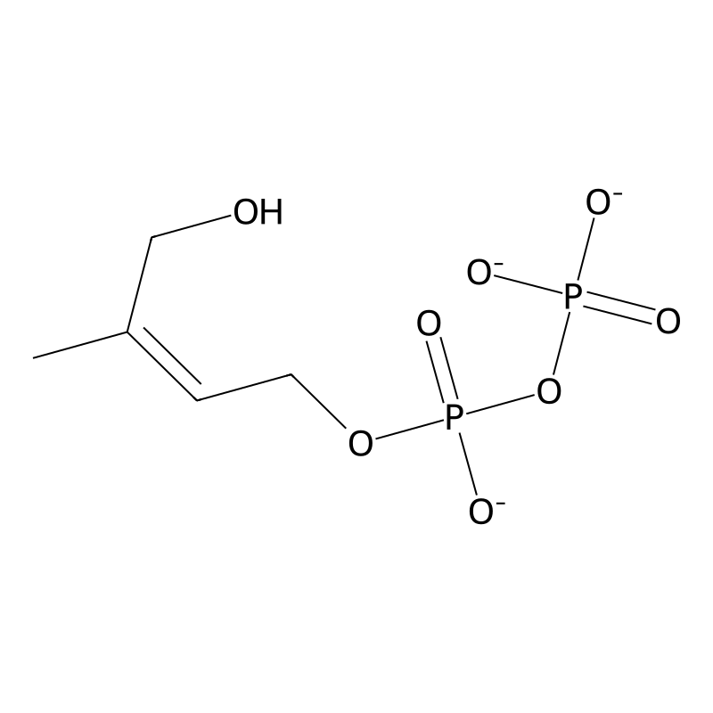 (E)-4-hydroxy-3-methyl-but-2-enyl pyrophosphate