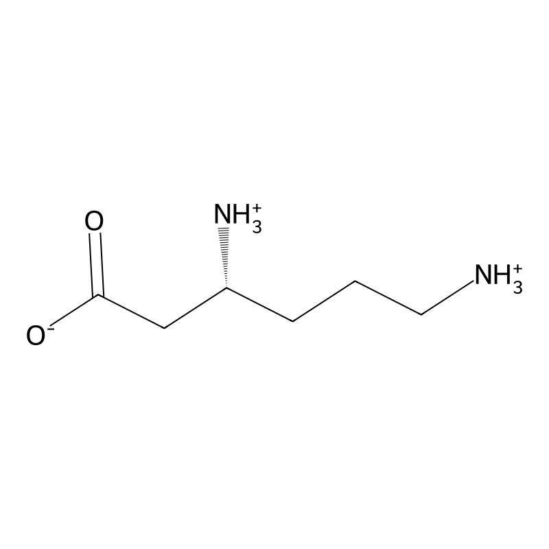 D-beta-lysine