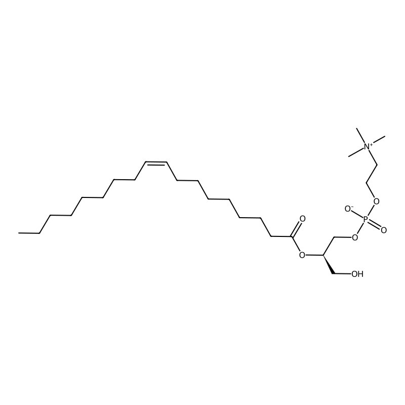 2-Oleoyl-sn-glycero-3-phosphocholine